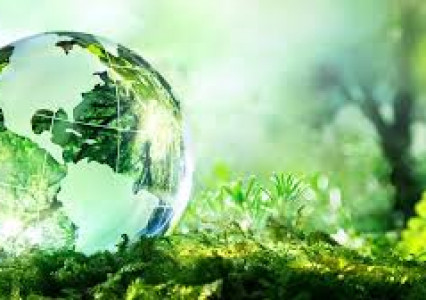 Trung tâm Tư vấn dịch vụ TN&MT